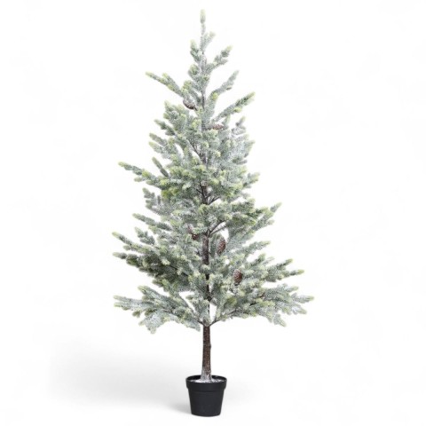 ABETE VERDE IN VASO CM.190